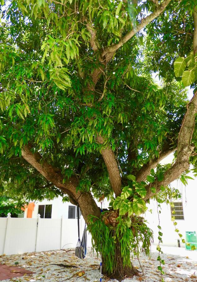 Appartement Enchanting Cozy 10 Min Away From Airport, Calle 8, Brickell, Coral Gables, The And More!